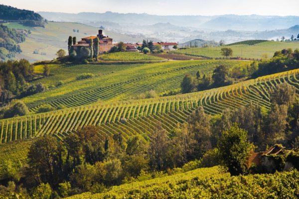 La bellezza del Monferrato  nella foto panoramica