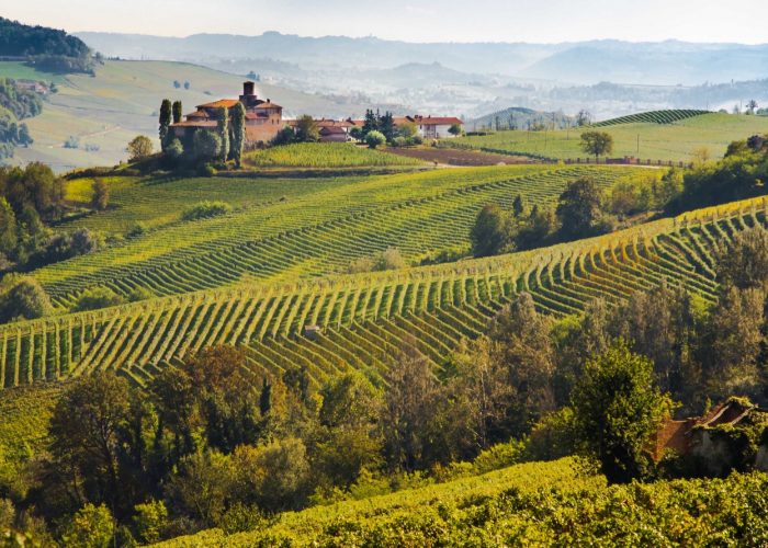 La bellezza del Monferrato  nella foto panoramica