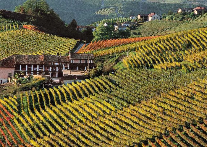 Vigneti del Monferrato