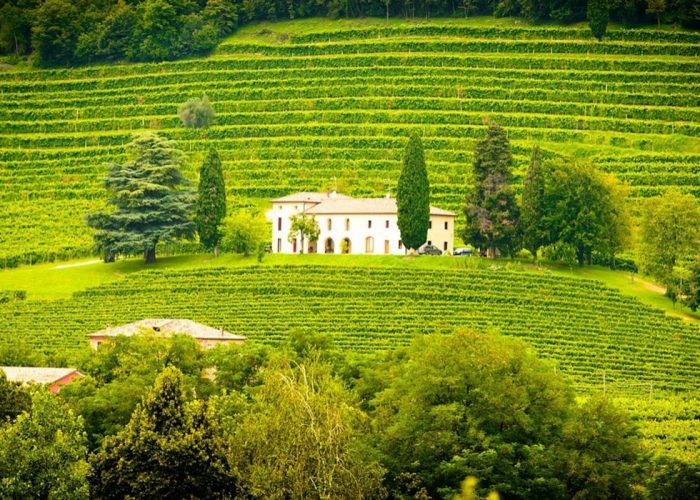 Uno bellissimo scorcio delle nostre colline