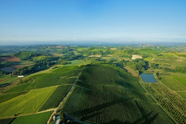 Colline del Monferrato