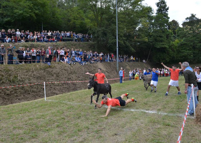 L'arrivo vittorioso di Cortandone