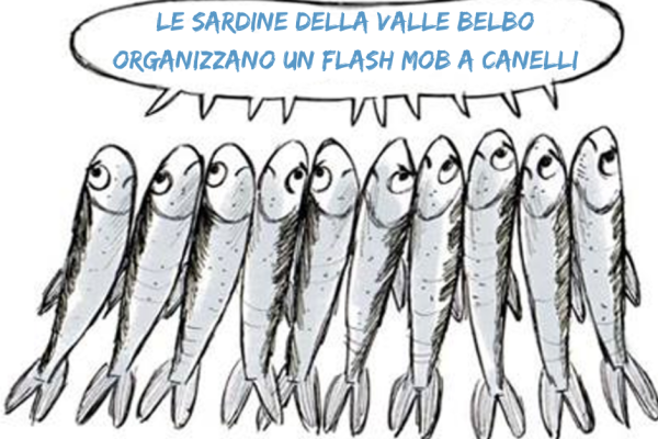 Nate le'Sardine' canellesi