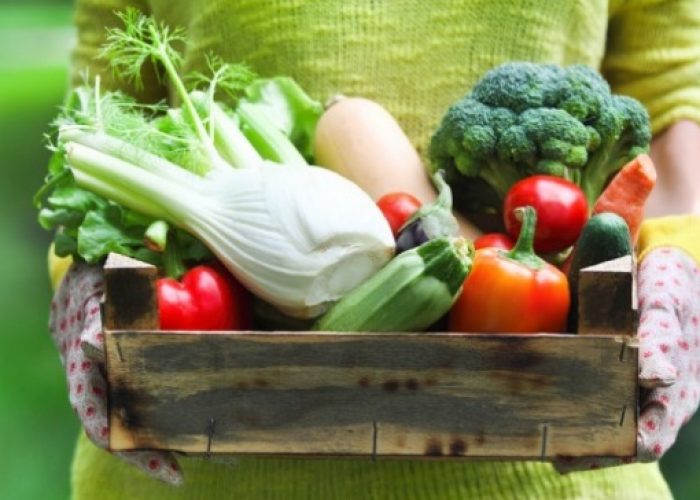 Nove tonnellate di verdura dagli orti alla Saclà