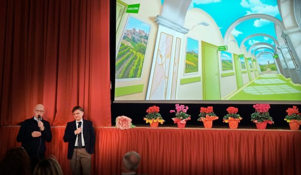 Ospedali dipinti Silvio Irilli Roberto Peretti