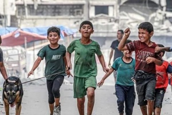 Palestina quadila