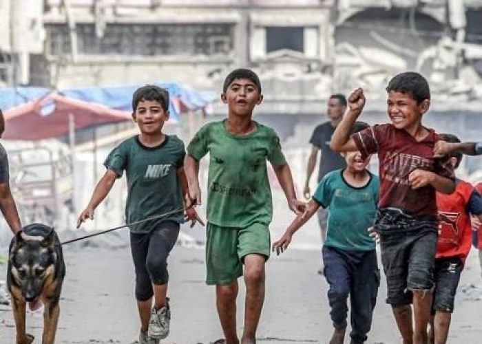 Palestina quadila
