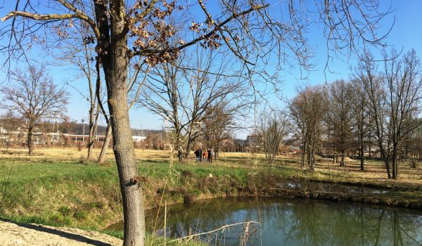 Parco delle Verne