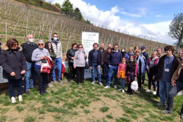 Picnicinvigna4