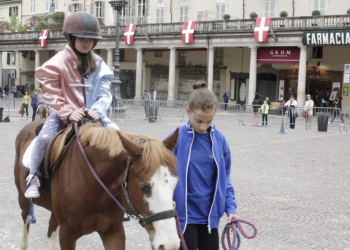 Pony 2