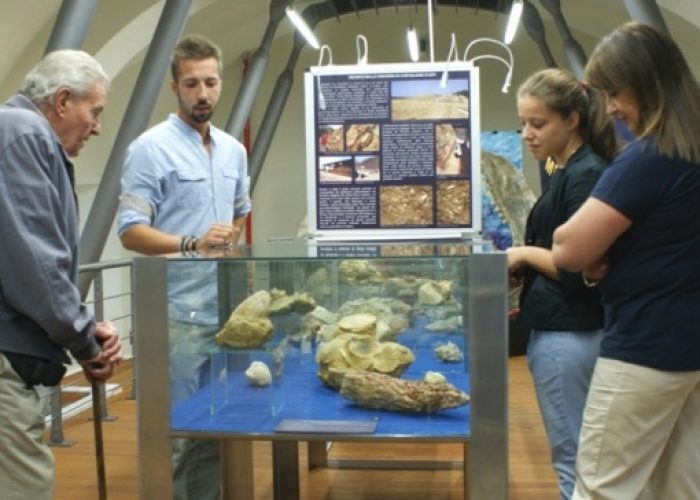 Porte aperte al Museo dei Fossili di Asti