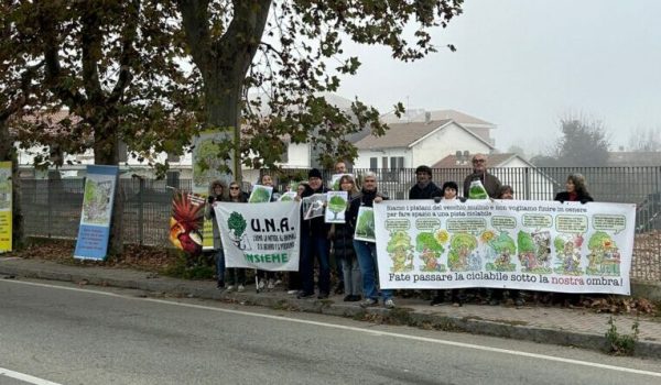 Presidio per salvare i platani di corso Savona ad Asti