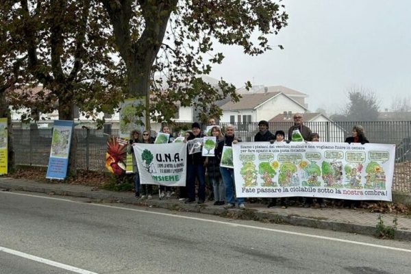 Presidio per salvare i platani di corso Savona ad Asti