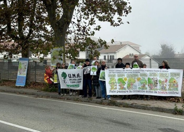 Presidio per salvare i platani di corso Savona ad Asti