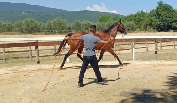 Previsite al Ceppo agosto jpg copia