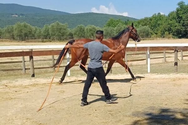Previsite al Ceppo agosto jpg copia