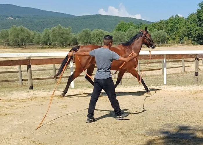 Previsite al Ceppo agosto jpg copia