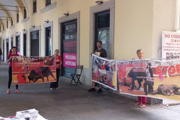 Protesta contro le corride