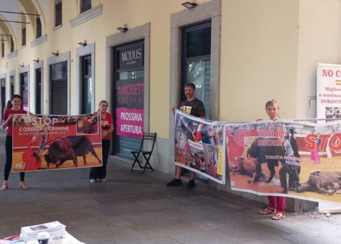 Protesta contro le corride