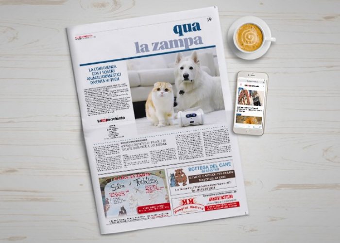 copertina inserto