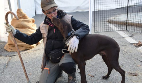 Tartufo fiera canelli tabui