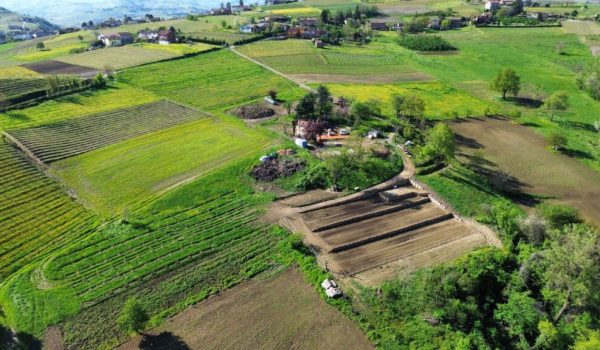 Unione Buddhista Italiana Progetto Vivere l'interdipendenza