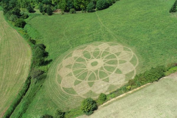 Cerchio nel grano di Portacomaro