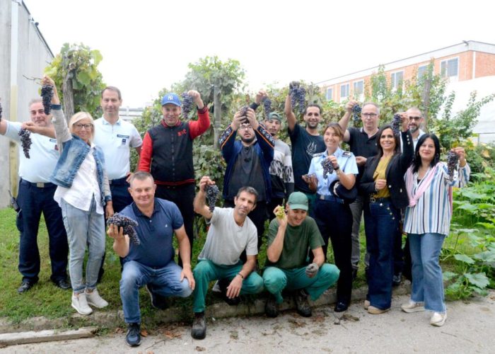 Vendemmia_carcere_09_2023_ph_S_Marcato (8)