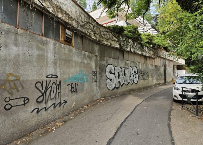 Via del Bosco Asti graffiti