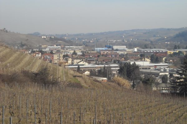Vigne e zona industriale