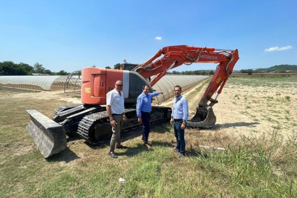 motta di costigliole