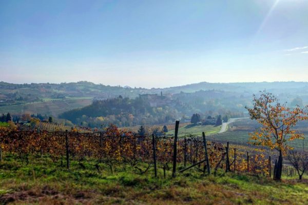 pro loco motta costigliole
