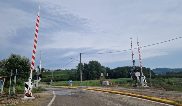 WhatsApp Image at ()