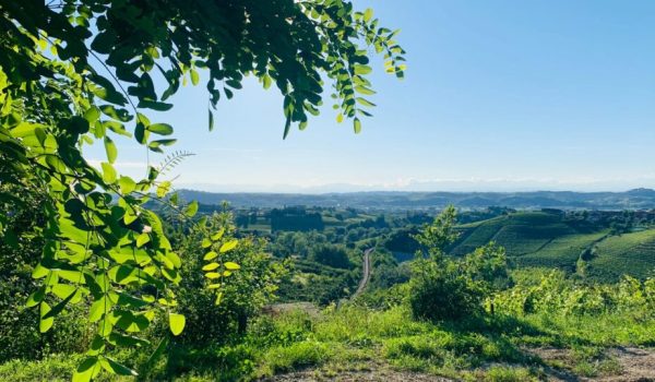 castagnole lanze
