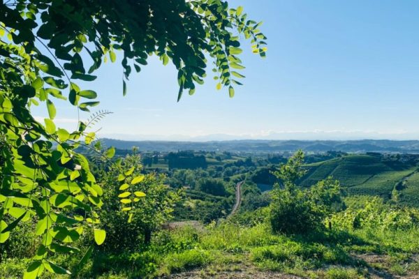 castagnole lanze