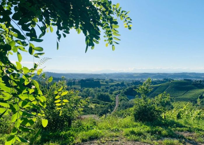 castagnole lanze