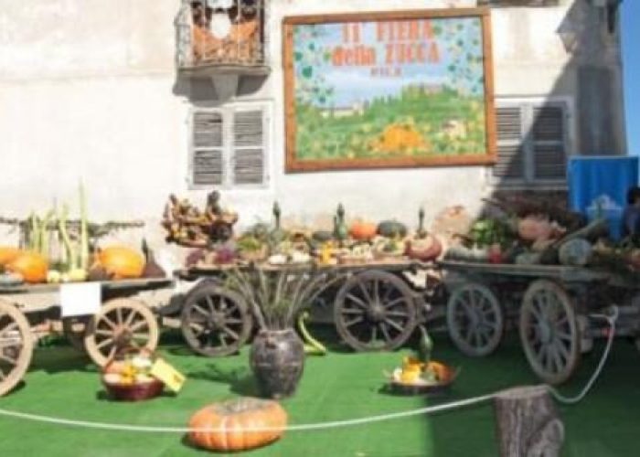 Zucca