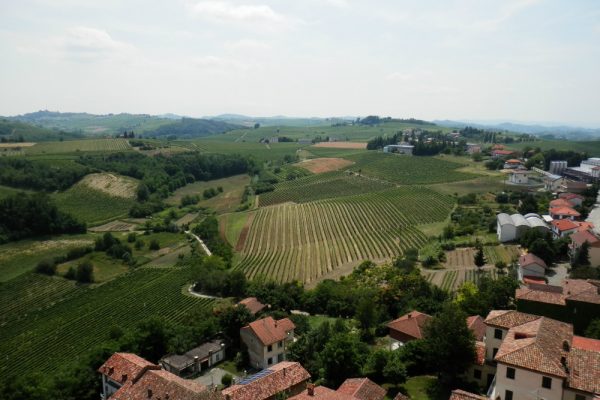 A Nizza il Festival del Paesaggio AgrarioBuone pratiche, questione di sensibilità