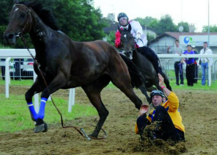 Abbiategrasso: vince Chitiper il Gallo tra le polemiche