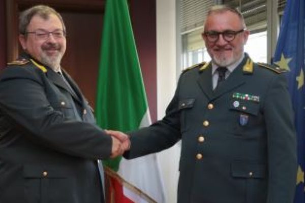 accardi mocco