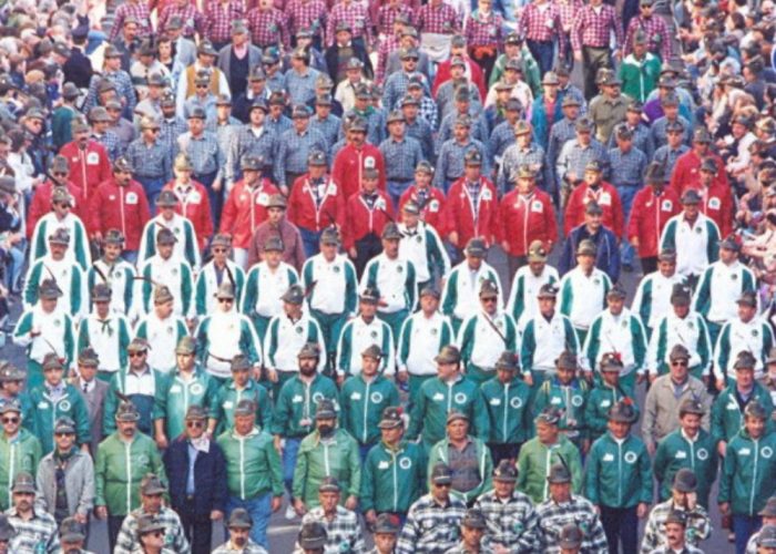 Adunata degli Alpini,volontari cercansi