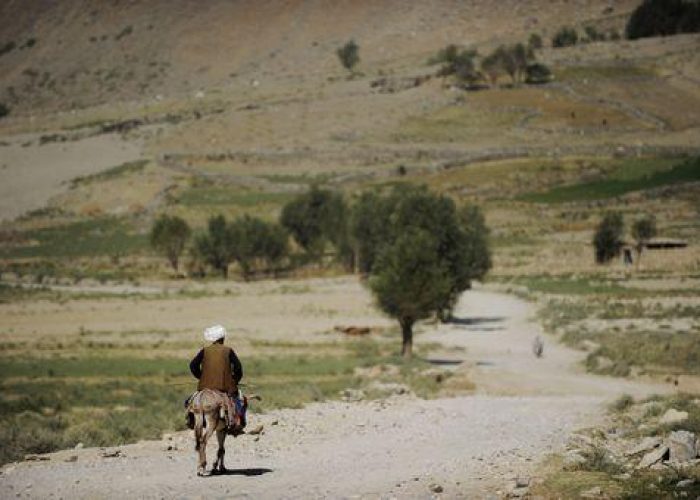 Afghanistan/ Esercito afgano senza elicotteri, ma arriva l'asino