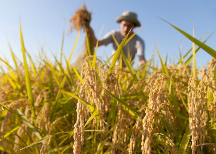 Agricoltura, adesso servesaper vendere bene