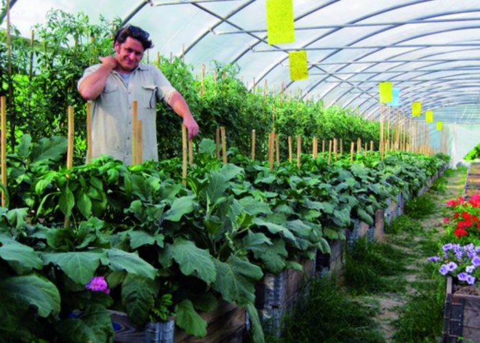 Agricoltura etica e sananell'oasi sperimentale di Cà Mariuccia