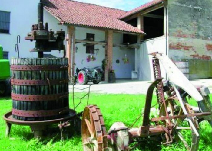 Agriturismi in crescita in collinaUno su tre è gestito da una donna