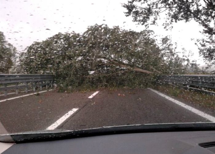 Allagamenti, fango e contatori saltatiI danni del maltempo in città e fuori