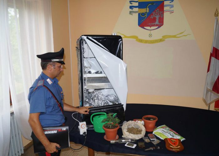 Anche un astigiano tra i 2 arrestati ad Alba per coltivazione e spaccio di droga
