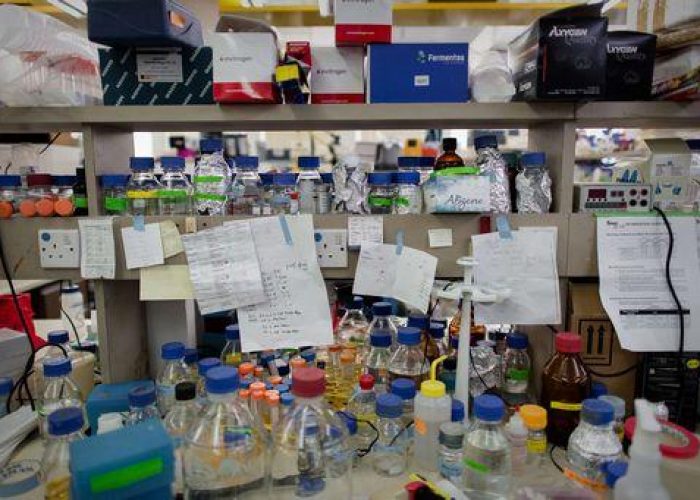 Arabia Saudita/ Cinque persone morte per il virus della Sars