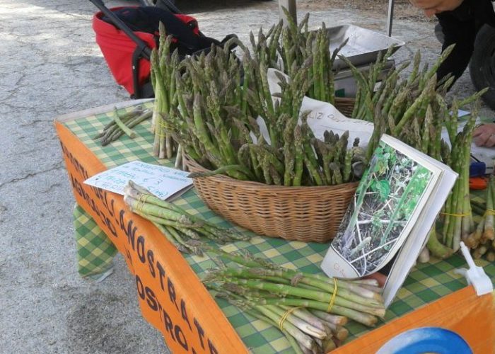 asparago saraceno vinchio