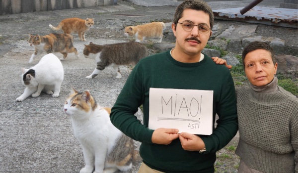 associazione difesa felini